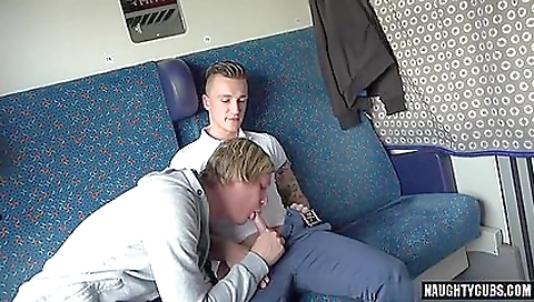 Blonde brunette and tattooed guy in bareback group sex